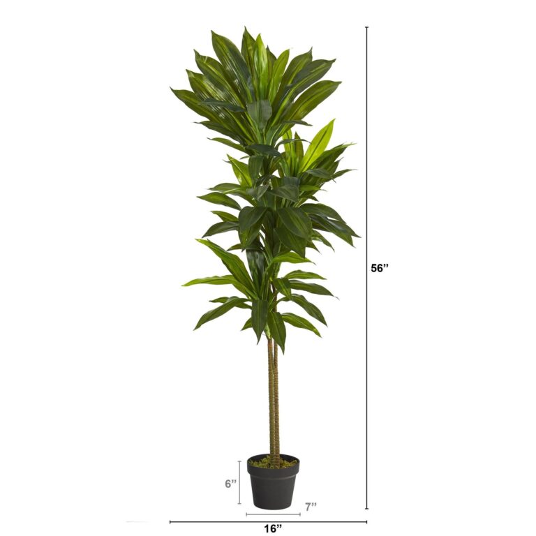 Close-up of leaf foliage texture on this 56' Dracaena Artificial Plant Real Touch