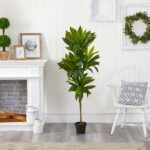 Detail view of planter detail from the 56' Dracaena Artificial Plant Real Touch