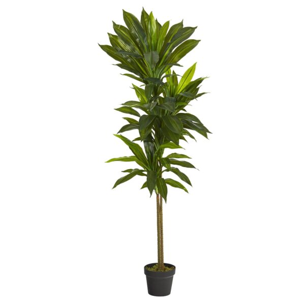 56' Dracaena Artificial Plant Real Touch