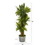 Close-up of leaf foliage texture on this 58' Corn Stalk Dracaena Artificial Embossed Tin Planter