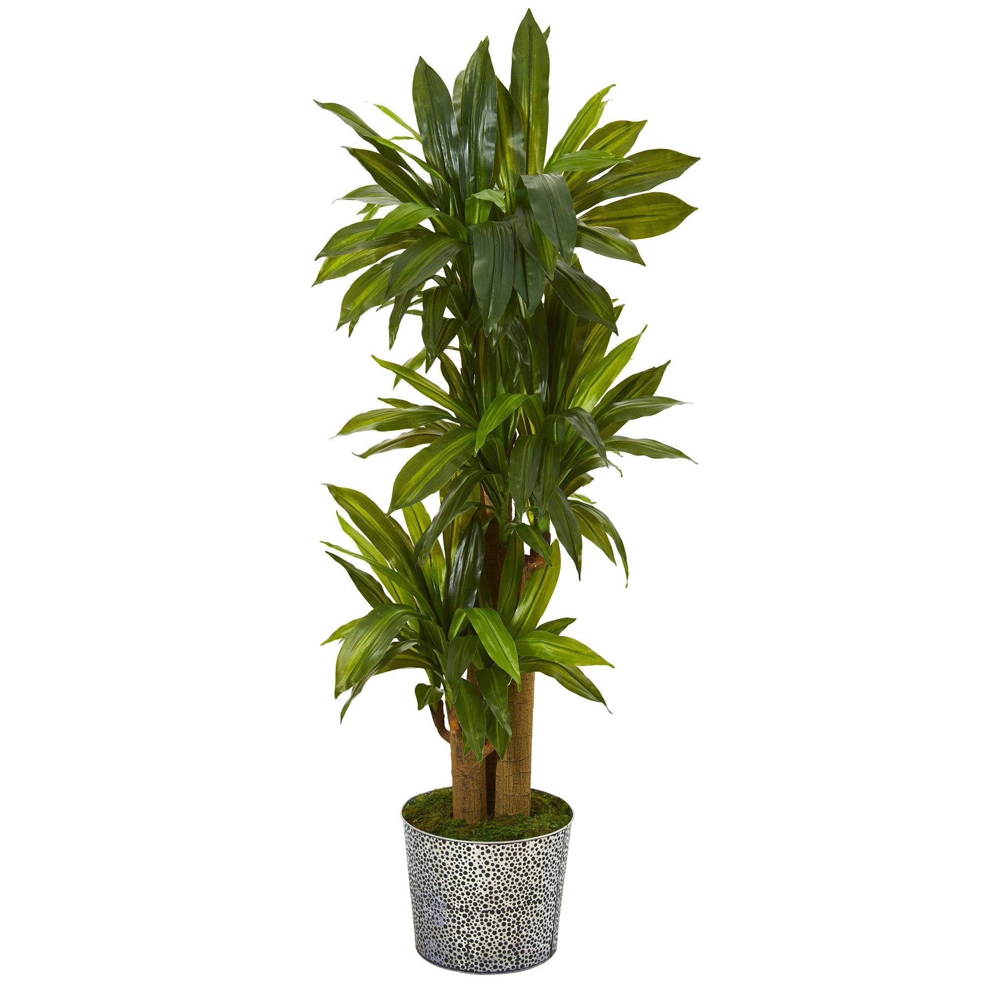 artificial-58-corn-stalk-dracaena-artificial-plant-in-black-embossed-tin-planter-real-touch-nearly-natural-714063.jpg 58' Corn Stalk Dracaena Artificial Plant in Black Embossed Tin Planter Real Touch