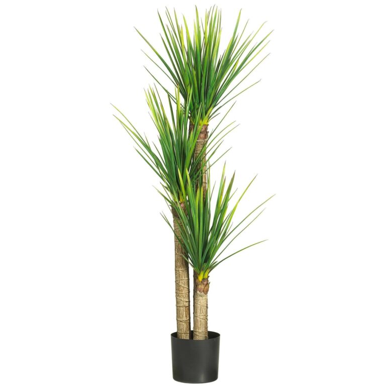 58.5 inch Yucca Silk Tree