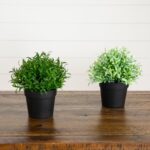 6' Artificial Grass Plant in Black Pot - Set of 2