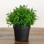 Alternate angle of the 6' Artificial Grass Plant Artificial Grass Plant showing full plant from