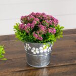 Alternate angle of the 6' Artificial Succulent flowering Plant Daisy Tin Planter showing full plant