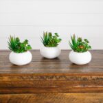 6 inch Artificial Succulent Garden in Ceramic White Planter - Set of 3