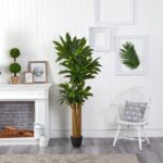 Detail view of planter detail from the 6' Corn Stalk Dracaena Artificial Plant Real Touch