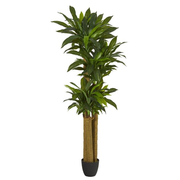 6' Corn Stalk Dracaena Artificial Plant Real Touch