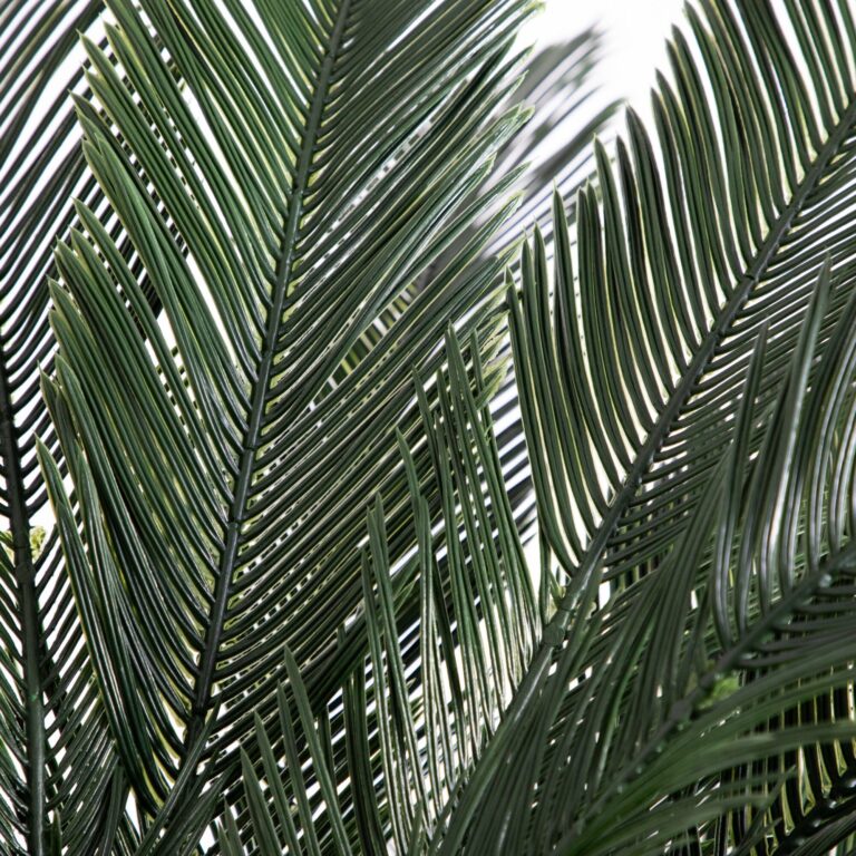 Close-up of leaf foliage texture on this 6' Cycas Artificial Tree UV Resistant Indoor Outdoor