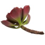Side view of the 6' Artificial Echeveria Succulent Set of 12 revealing craft detail close-up