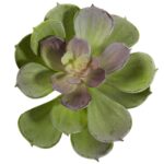Full display view of the 6' Artificial Echeveria Succulent Set of 12 with full decorative