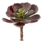 Alternate angle of the 6' Artificial Echeveria Succulent Set of 12 showing material texture detail