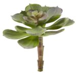 6' Artificial Echeveria Succulent Set of 12