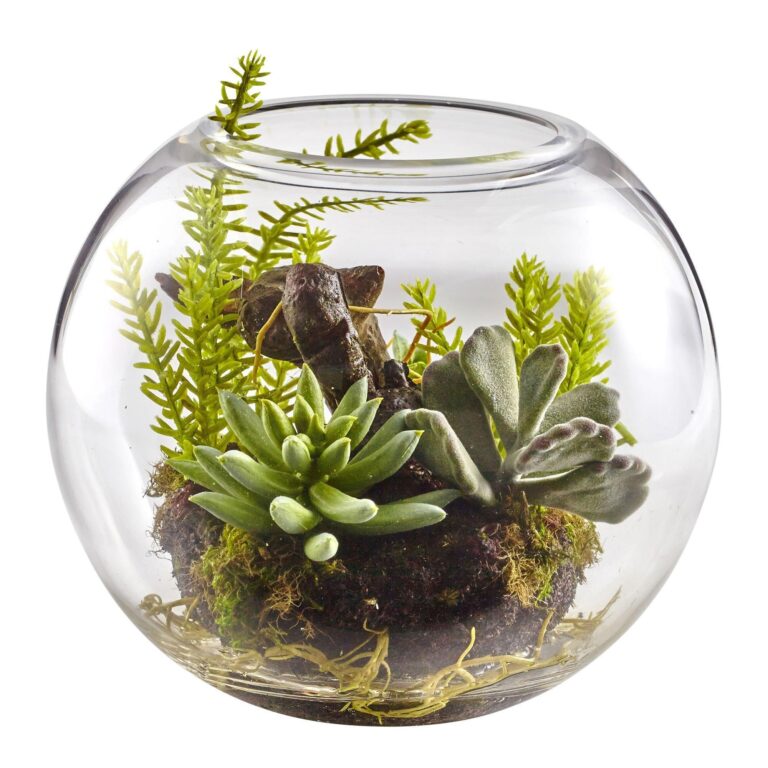 6.5' Mix Succulent Garden w Glass Vase