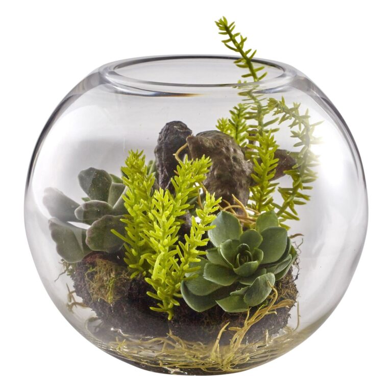Close-up of vase silhouette detail on this 6.5' Mix Succulent Garden w Glass Vase