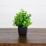 Side view of the 7' Artificial Mixed Topiary Plant Mixed Topiary Plant revealing frond and