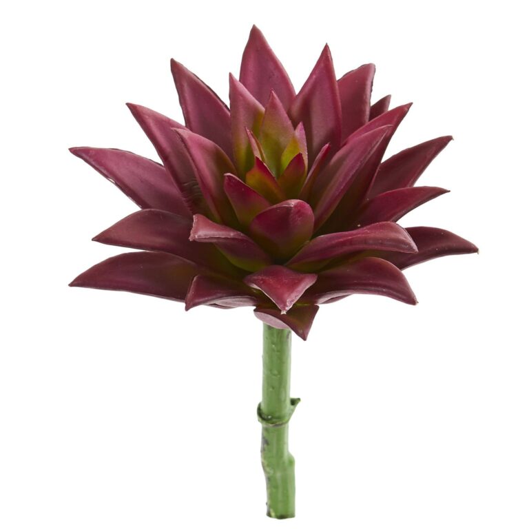 8' Agave Succulent Pick Artificial Plant Set of 12 - Burgundy