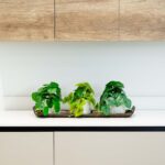 8' Artificial Mixed Greens in Ceramic Planter - Set of 3
