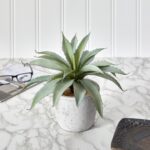 Detail view of planter detail from the 9' Aloe Succulent Artificial Plant