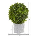Close-up of leaf foliage texture on this 9' Boxwood Artificial Mini Topiary Set of 3