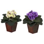 African Violet w Vase Silk Plant Set of 2