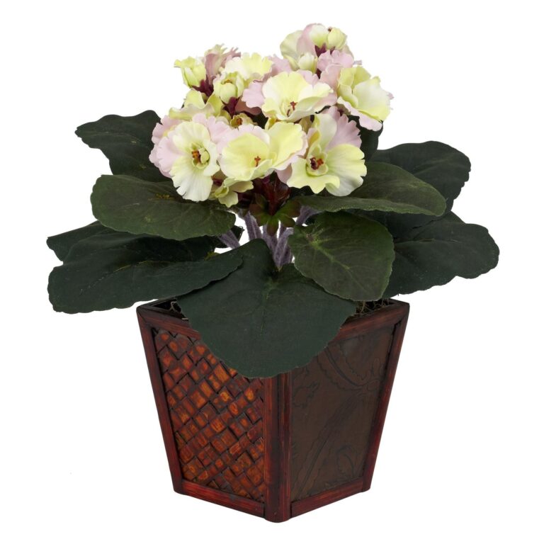 Close-up of leaf foliage texture on this African Violet w Vase Silk Vase Silk Plant