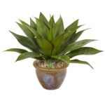 Agave in Glazed Clay Pot, planter