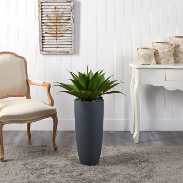 Close-up of leaf foliage texture on this Agave in Gray Cylinder Planter