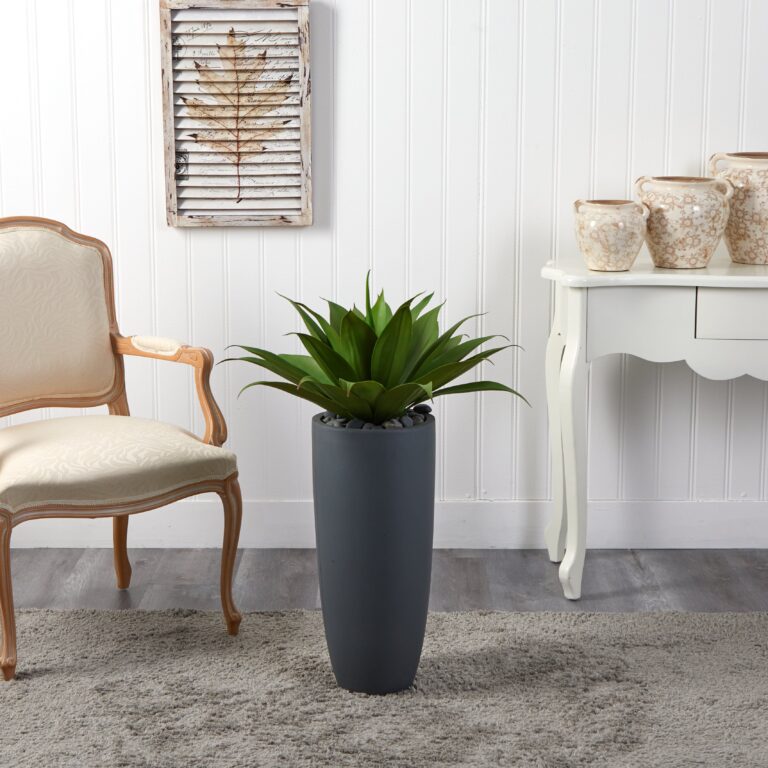 Close-up of leaf foliage texture on this Agave in Gray Cylinder Planter