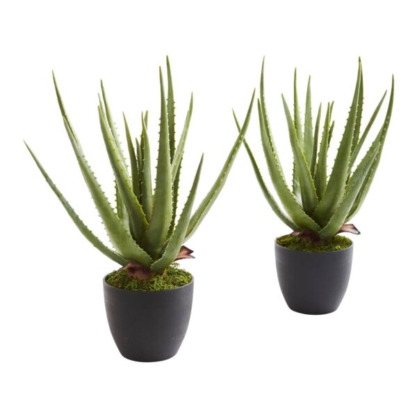 Aloe Artificial Plant Set of 2