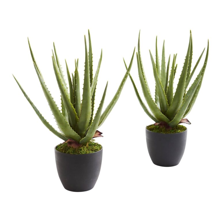 Aloe Artificial Plant Set of 2