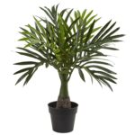 Close-up of leaf foliage texture on this Areca, Fountain and Banana Palm Set of 3