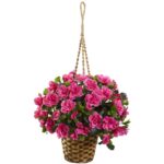 Azalea Hanging Basket hanging basket for home decor