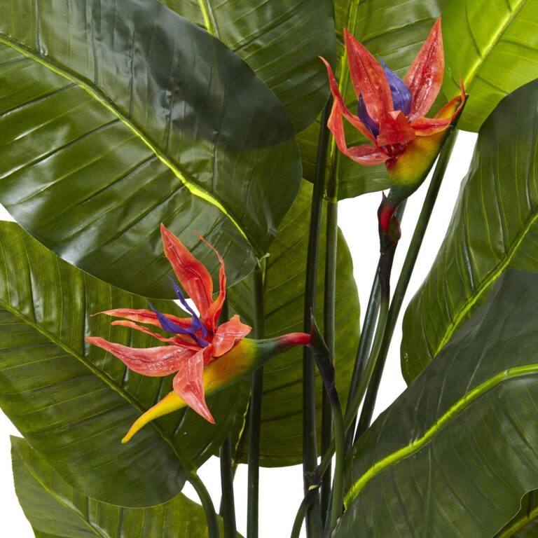Close-up of leaf foliage texture on this 58 inch Bird of Paradise Plant Real Touch