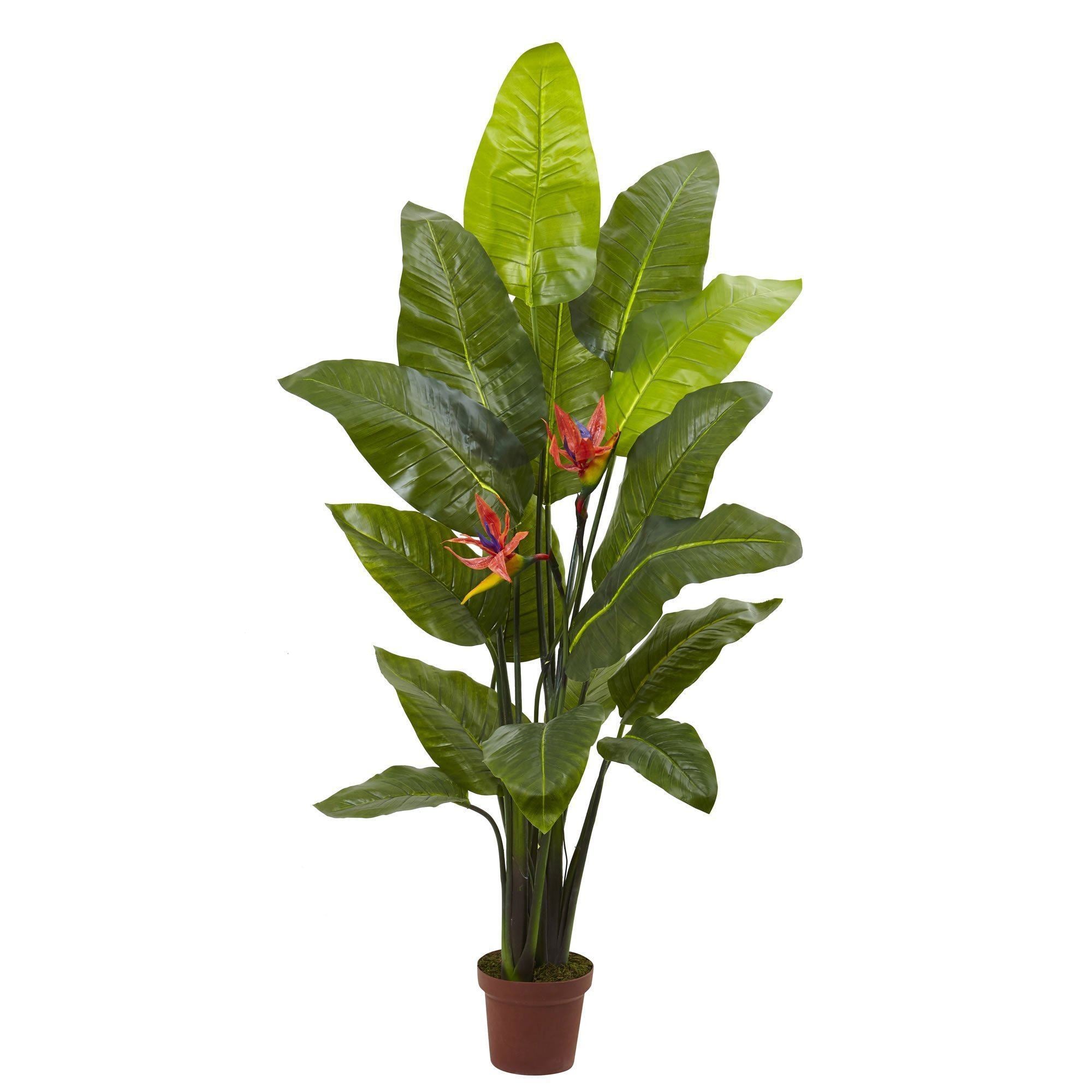 artificial-bird-of-paradise-plant-real-touch-nearly-natural-739921.jpg 58 inch Bird of Paradise Plant Real Touch