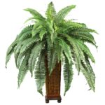 Boston Fern w Decorative Wood Vase Silk Plant