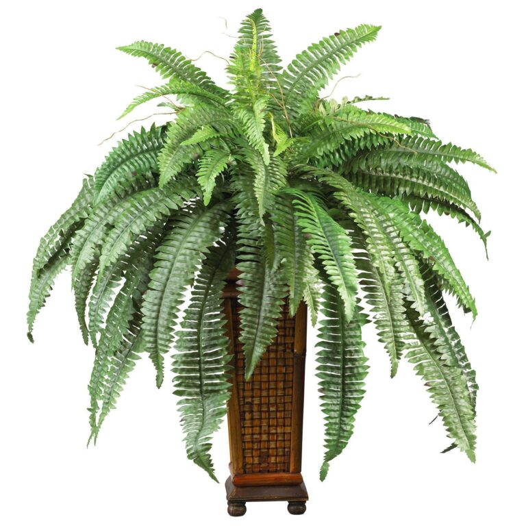 Boston Fern w Decorative Wood Vase Silk Plant