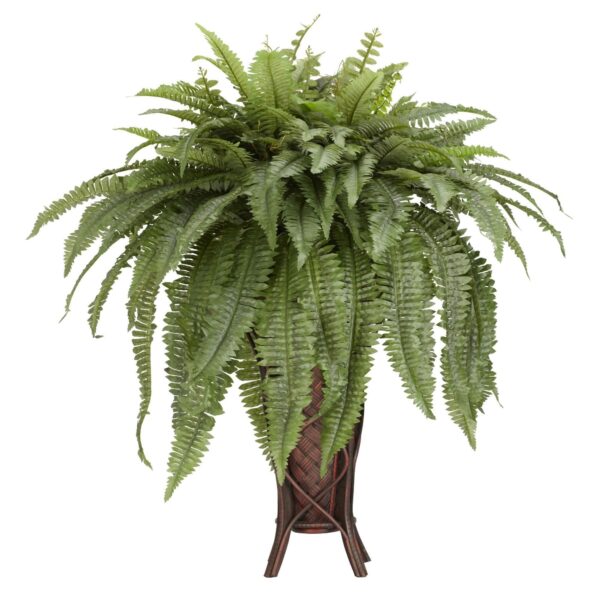 Boston Fern w Stand Silk Plant
