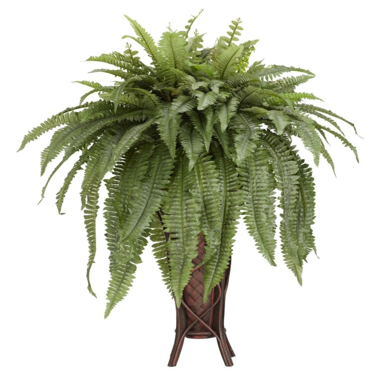 Boston Fern w Stand Silk Plant