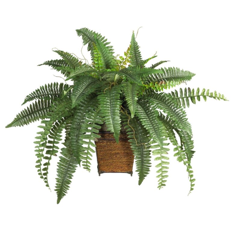 Boston Fern w Wood Wicker Basket Silk Plant