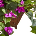The Bougainvillea in Metal Planter shown in full, highlighting branch layering