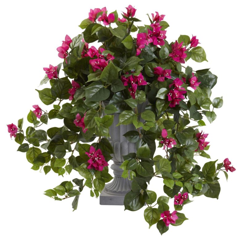 Bougainvillea with Decorative Urn home decor for home decor