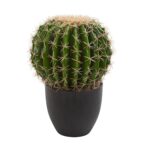 Cactus Artificial Plant artificial plant for home decor