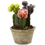Close-up of craft detail close-up on this Colorful Cactus Gardens Set of 2