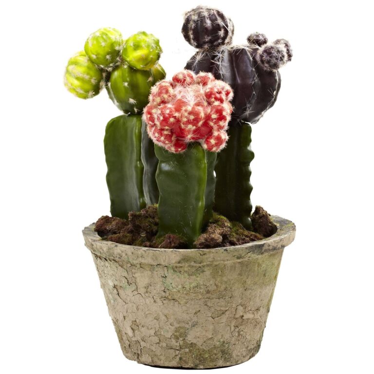 Close-up of craft detail close-up on this Colorful Cactus Gardens Set of 2