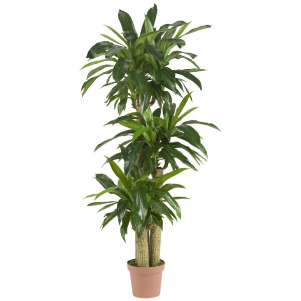 Corn Stalk Dracaena Silk Plant Real Touch