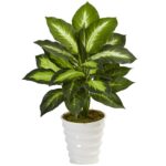 Dieffenbachia in Swirl Planter artificial plant for home decor