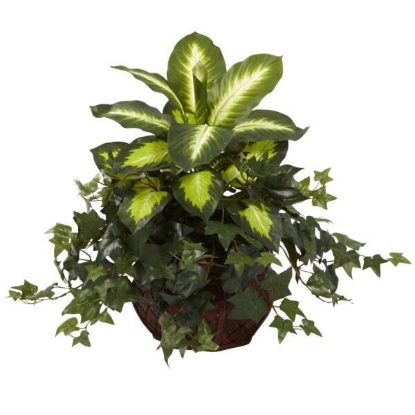 Dieffenbachia and Ivy w Decorative Planter