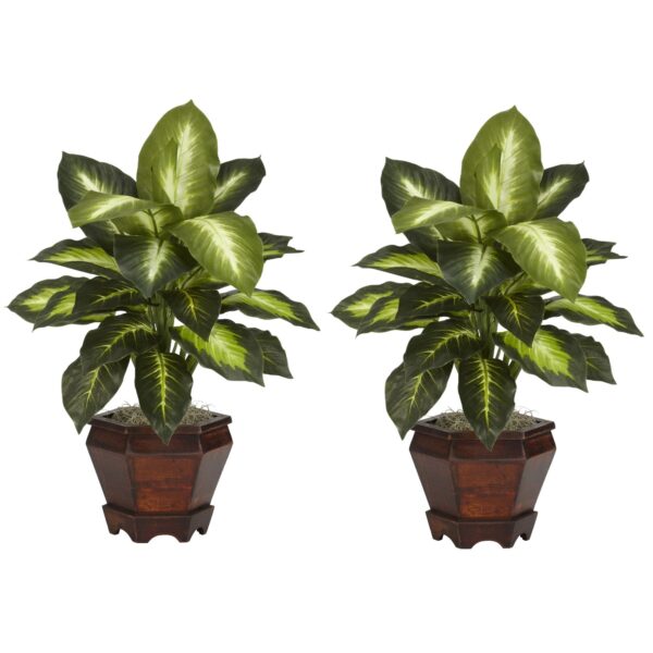 Close-up of leaf foliage texture on this Dieffenbachia w Wood Vase Silk Vase Silk Plant