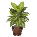 Alternate angle of the Dieffenbachia w Wood Vase Silk Vase Silk Plant showing full plant